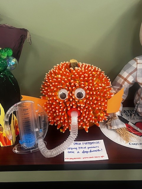 3rd Place:  4S PACU  "Pufferfish"