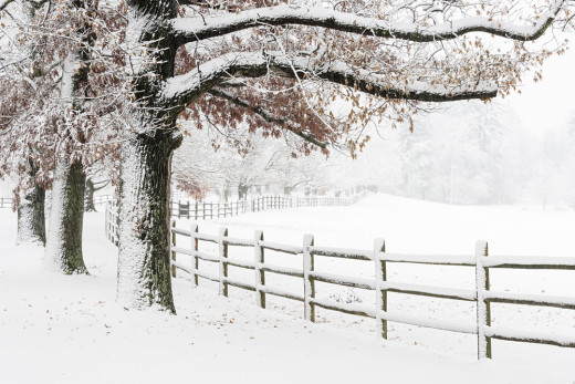 snowy scene VA