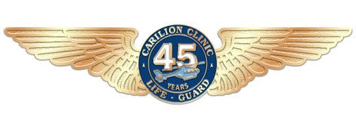 Life-Guard 45th Anniversary Wings