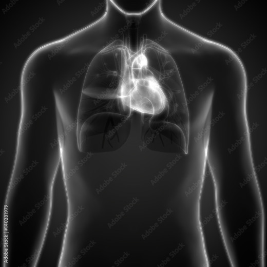 Mending Hearts Together