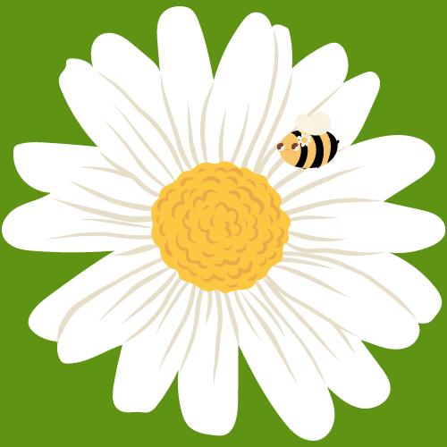 DAISY, BEE Icon