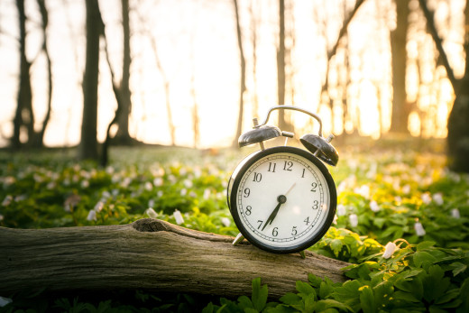 Alarm clock in wilderness setting