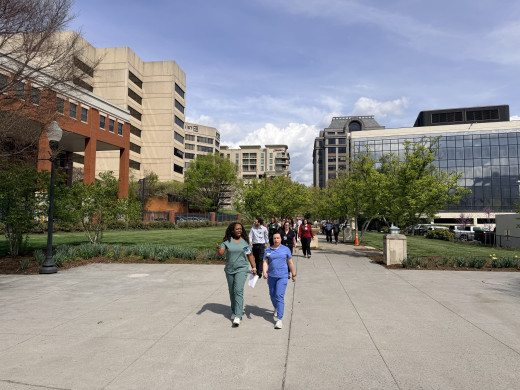 Downtown walkers