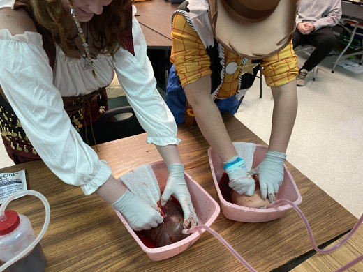 Stop the Bleed Education