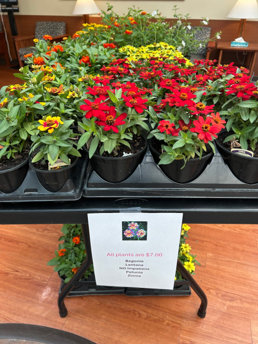 CNRV Plant Sale