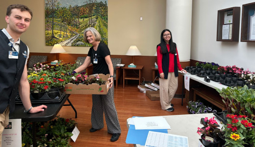 CNRV Plant Sale