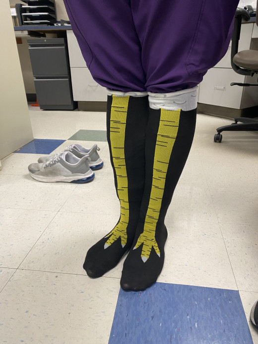 Wild socks
