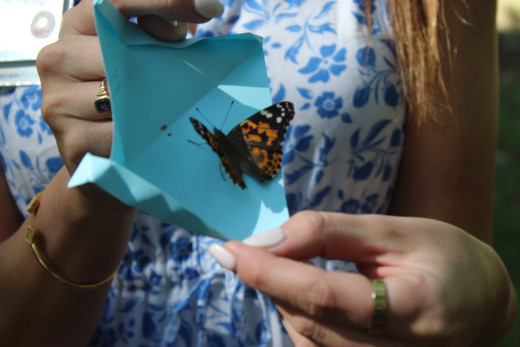 A butterfly being released to honor the children we remember. 