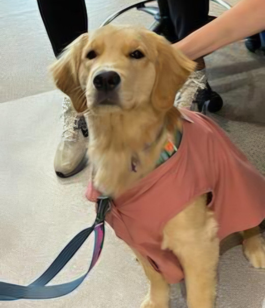 Meadow Visits at CNRV
