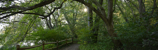 hike