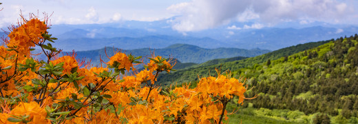 BlueRidge August