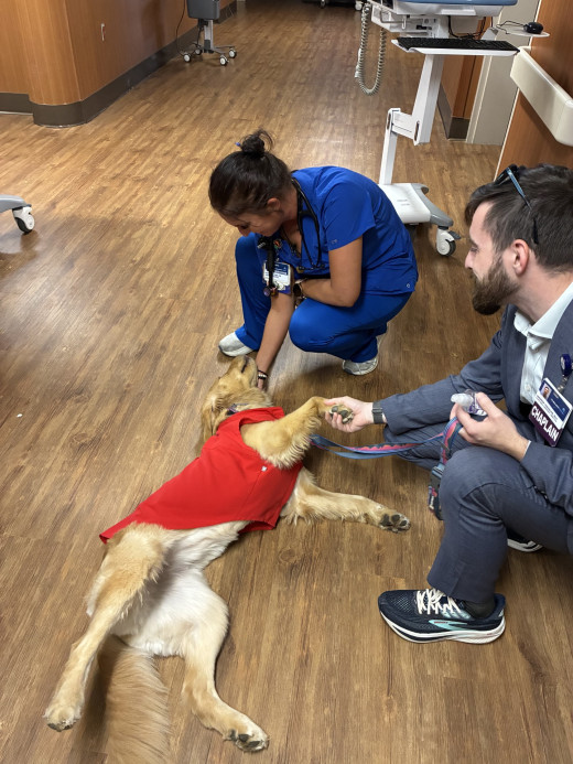 Meadow Feels the Love on the Inpatient Unit