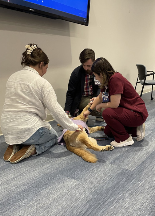 A little puppy therapy goes a long way! Meadow enjoys some extra attention from Nurse Residents during a wellness break. 🐶😊