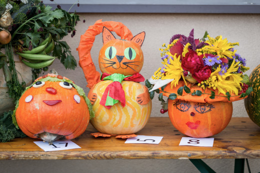 pumpkin contest